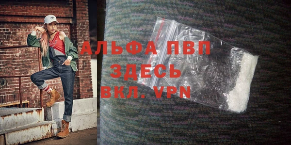 прущие грибы Дмитров