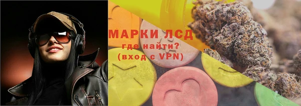 прущие грибы Дмитров