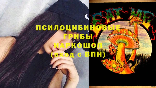 твердый Дмитровск