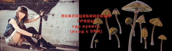 твердый Дмитровск