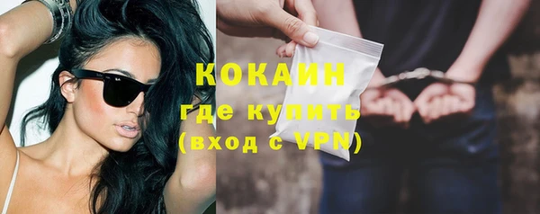 твердый Дмитровск