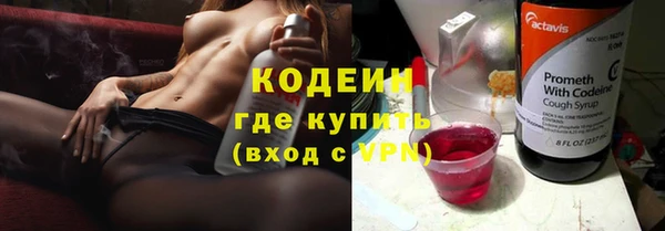 твердый Дмитровск