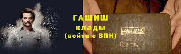 прущие грибы Дмитров