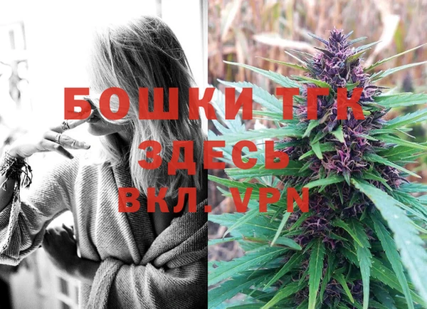 прущие грибы Дмитров