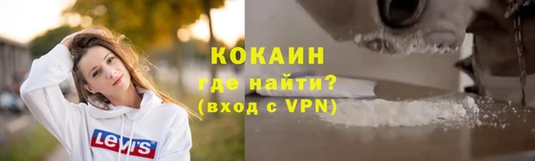 прущие грибы Дмитров