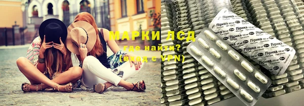 прущие грибы Дмитров