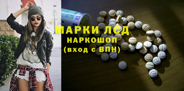 прущие грибы Дмитров