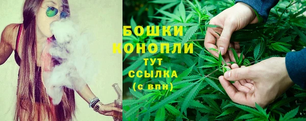 прущие грибы Дмитров