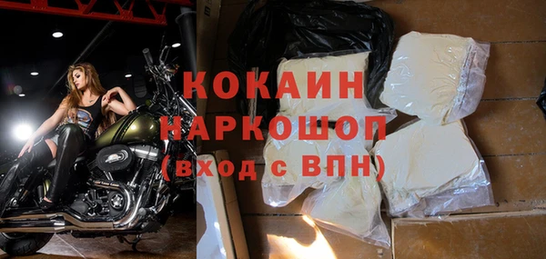 твердый Дмитровск