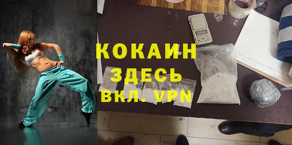 твердый Дмитровск