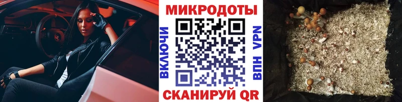 наркотики  Бирск  Галлюциногенные грибы мицелий 