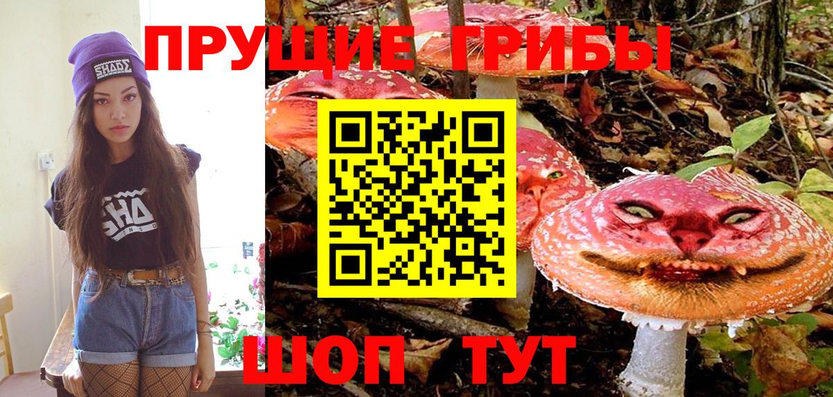 Псилоцибиновые грибы мицелий  Вход с VPN  Бирск 