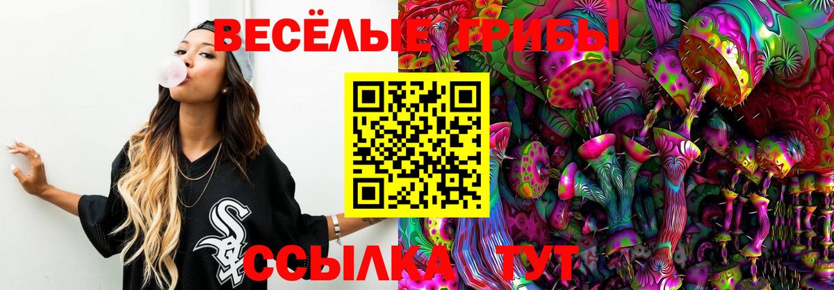 Псилоцибиновые грибы Psilocybe Бирск